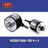 Encoder E50S8-1000-6-L-5